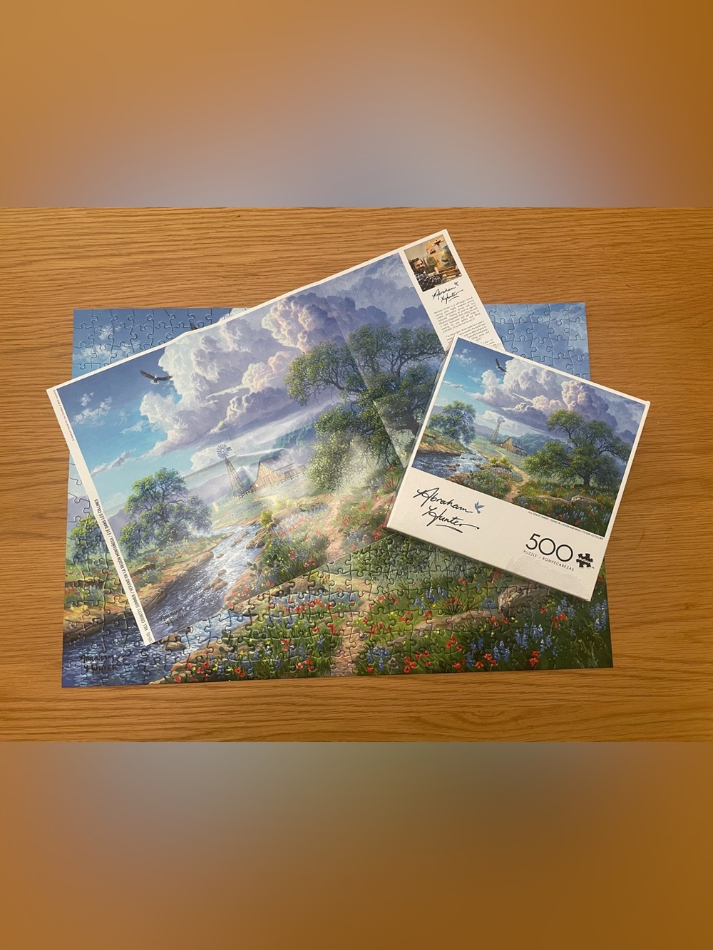 Buffalo Games Abraham Hunter All Country Summer 500 Piece Puzzle Complete